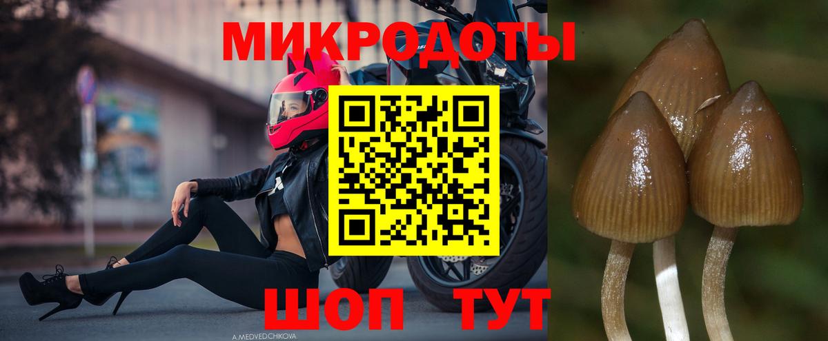 Елабуга  Псилоцибиновые грибы GOLDEN TEACHER  Вход с VPN 